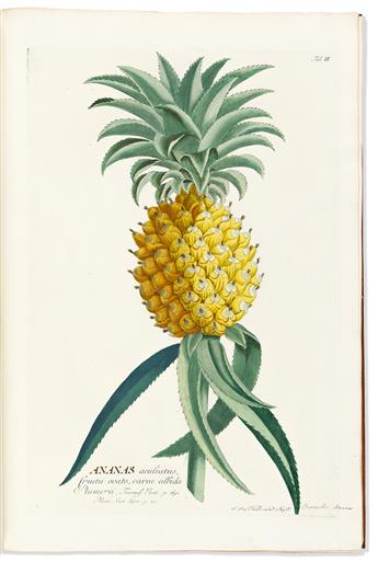Trew, Christoph Jacob (1695-1769) Plantae Selectae quarum Imagines ad Exemplaria Naturalia.